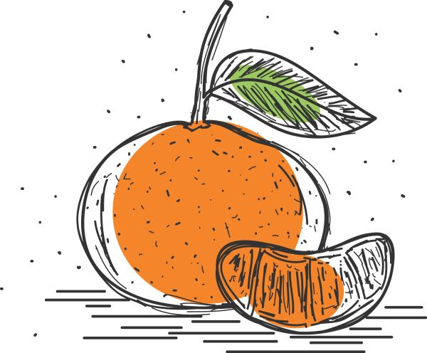 Мандарин Клементин вектор