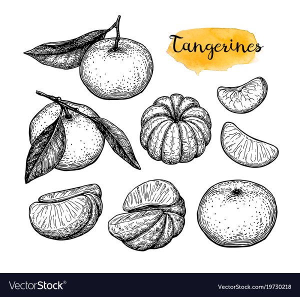 Мандарин карандашом