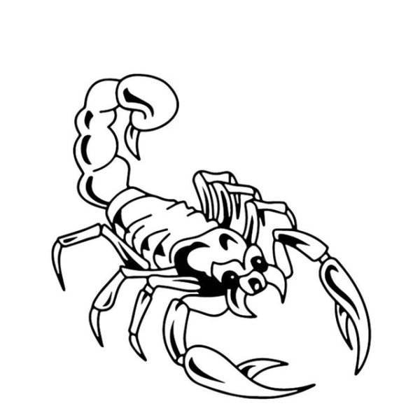 Скорпион для срисовки