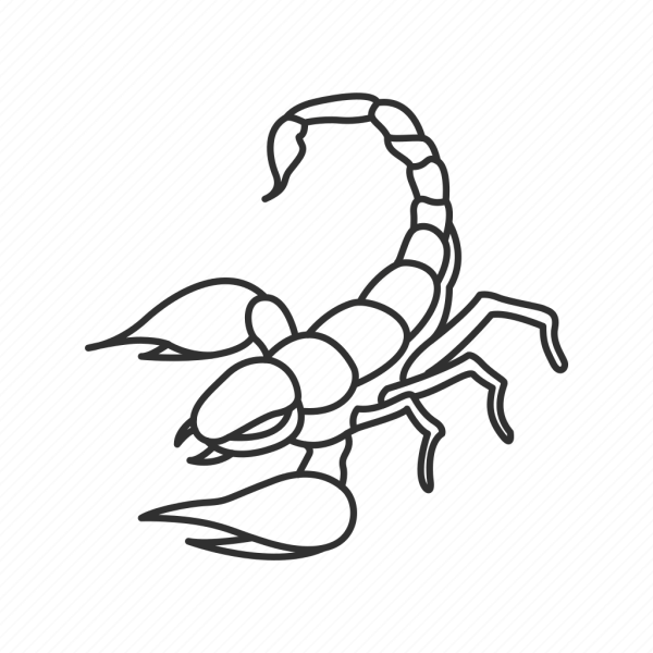 Контурный Скорпион