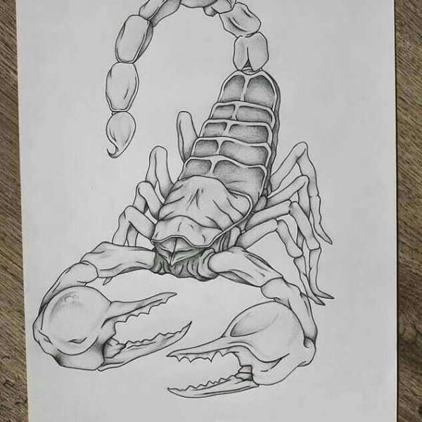 Скорпион эскиз