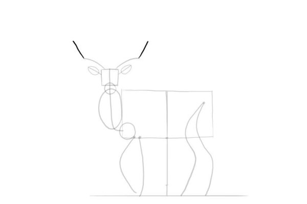 Рудольф олень Санты