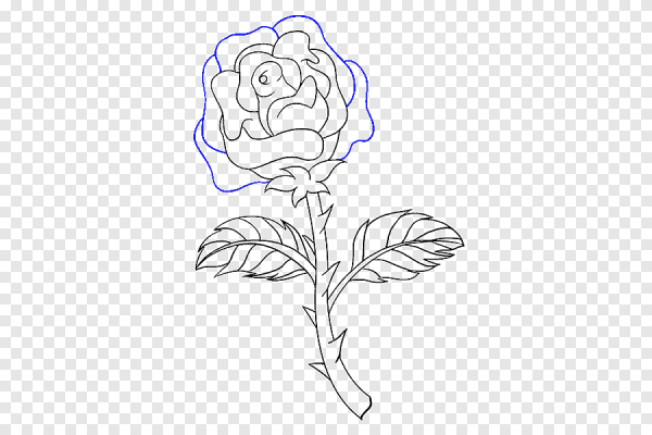 Срисовать цветок роза