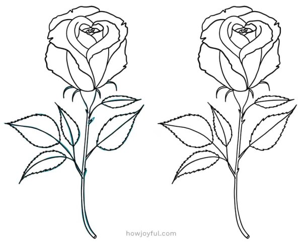 Цветы которые легко рисуются