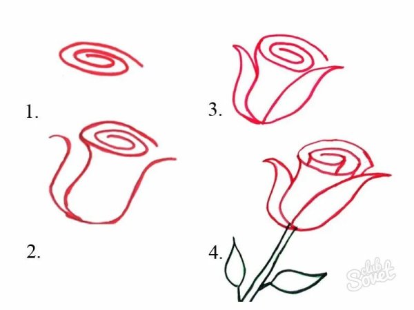 Пошаговое рисование цветов для детей