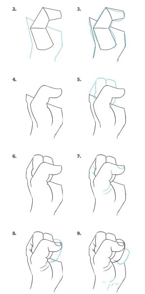 Поэтапное рисование кулака