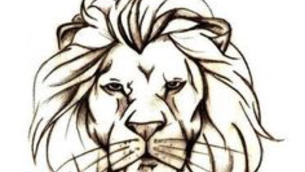 Рисунок Льва карандашом для срисовки