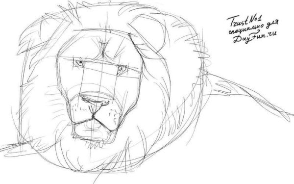 Лев для рисования