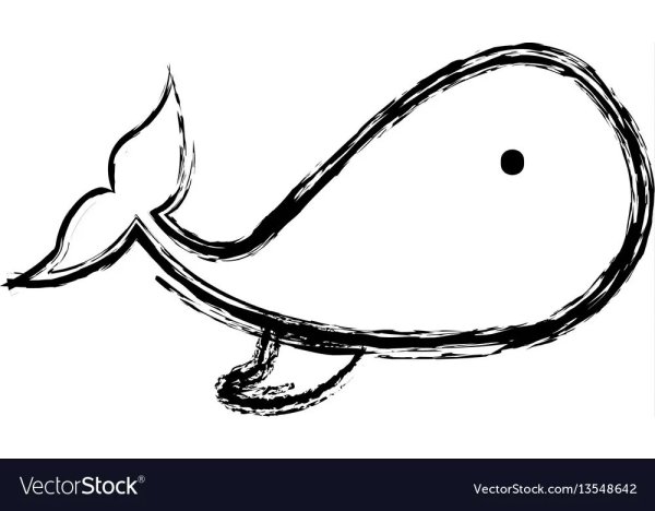 Кит для срисовки