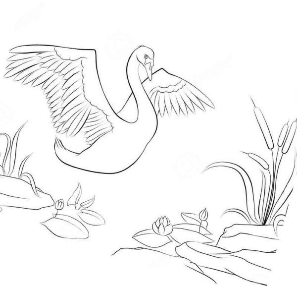 Дикие лебеди Андерсен