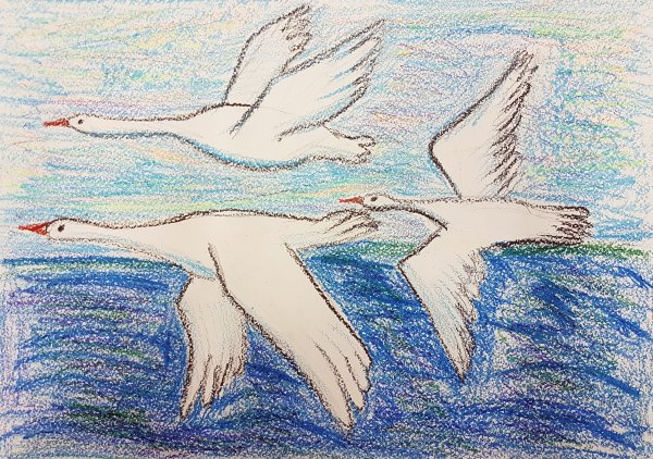 Дикие лебеди Андерсен