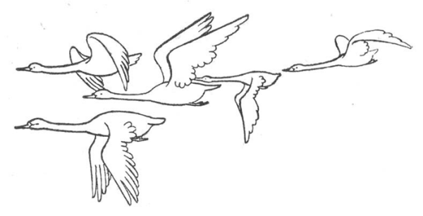 Гадкий утенок иллюстрации Алфеевского