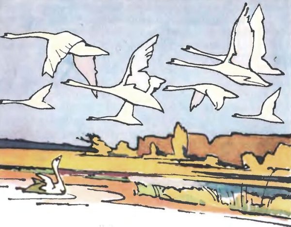 Дикие лебеди сказка Андерсена