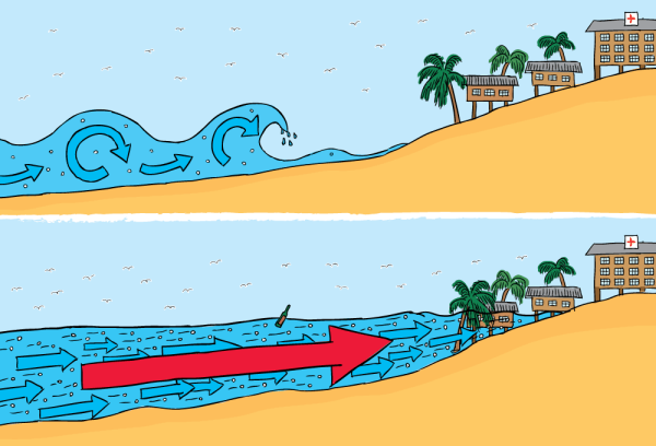 ЦУНАМИ карандашом