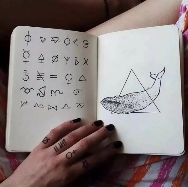 Рисунки для скатч бука