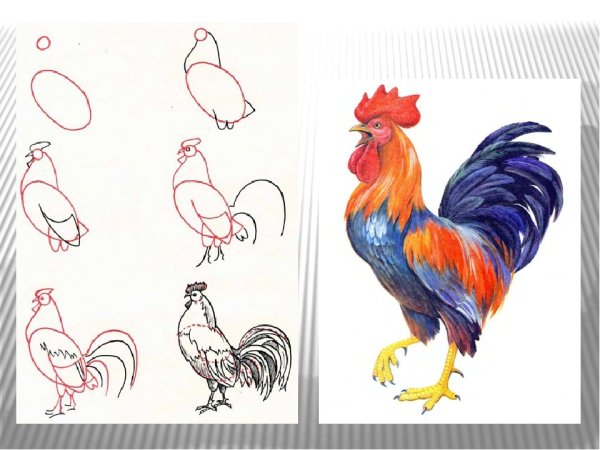 Золотой петух Куприн