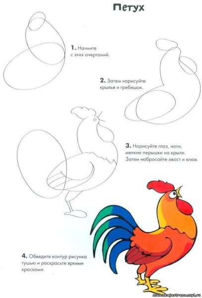 Нарисовать петуха карандашом