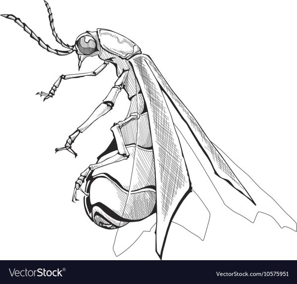 Светлячок эскиз