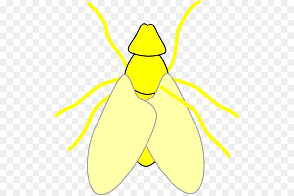 Рисуем светлячков с детьми