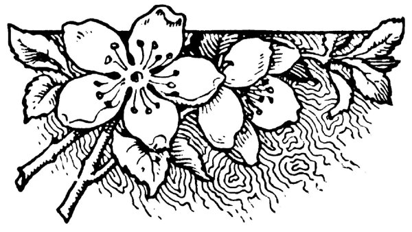 Рисунки для выжигания