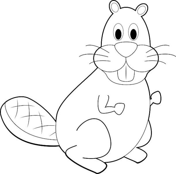 Рисунок бобра для детей легкий