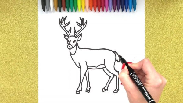 Рисование Северный олень