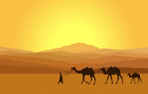 Караван верблюдов для детей