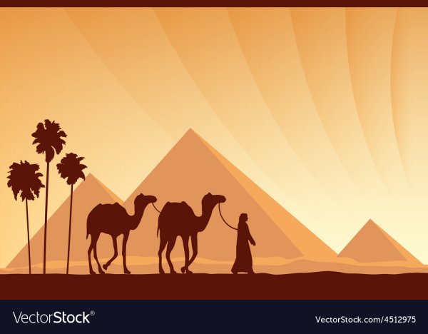 Пирамиды и Верблюды силуэт