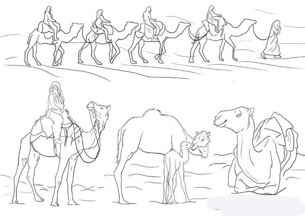 Караван верблюдов раскраска