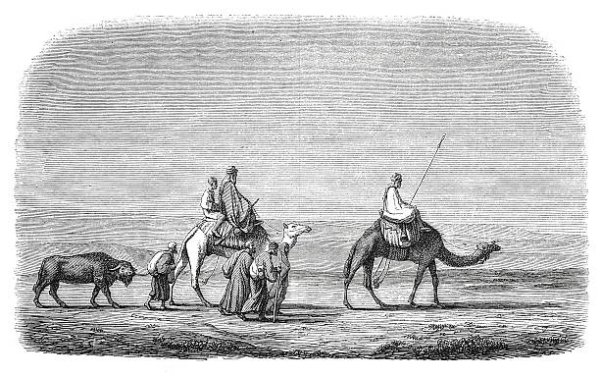 Караван гравюра