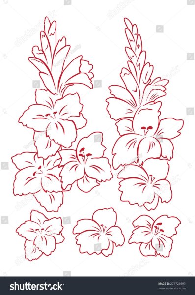 Цветы карандашом