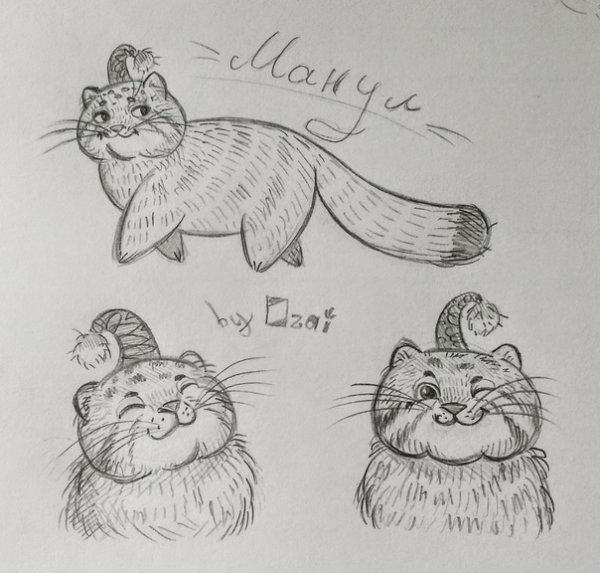 Манул рисунок для детей легкий