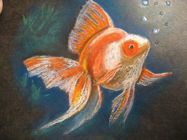 Золотая рыбка пастелью