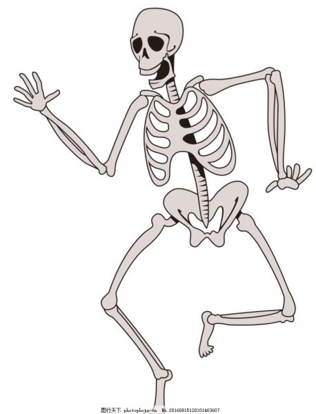 Рисунки для срисовки скелет