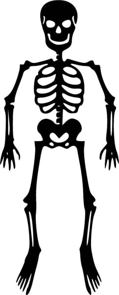 Картины на Хэллоуин скелет