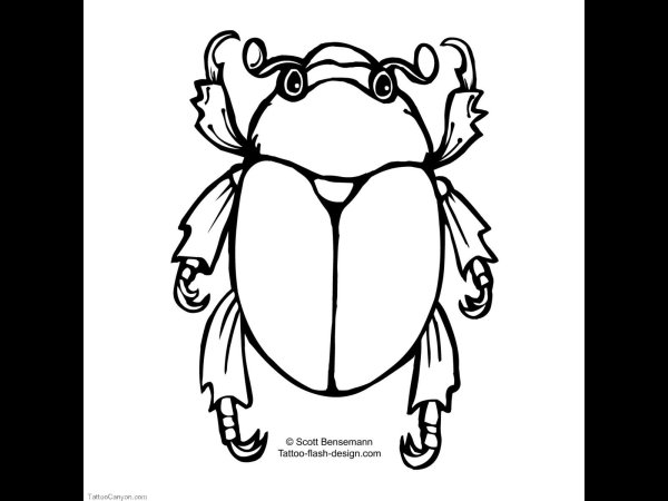 Скарабей раскраска