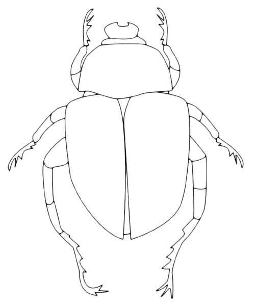 Жук скарабей для детей