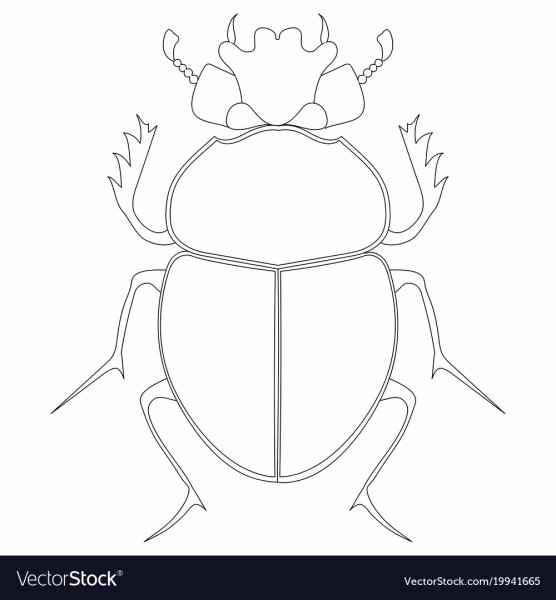 Жук скарабей Египет раскраска