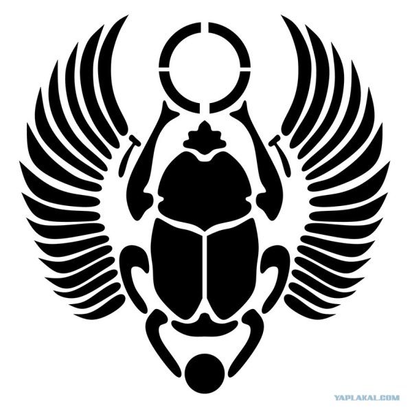 Жук скарабей Египет