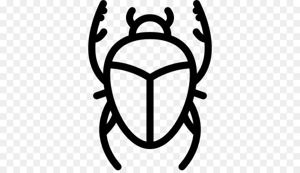 Жук символ
