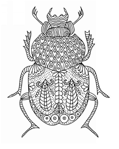 Жук скарабей в древнем Египте