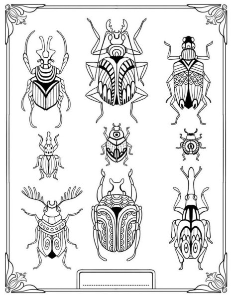 Зооморфный орнамент жука скарабея