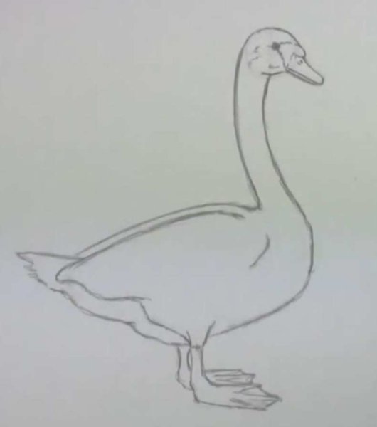 Рисование гуся