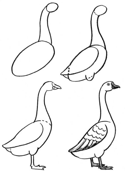 Поэтапное рисование гуся