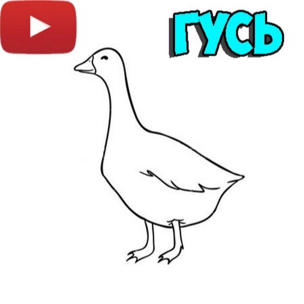 Как рисовать гуся для детей