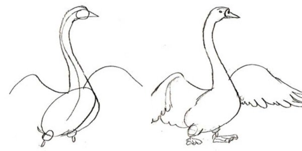 Гусь раскраска для детей