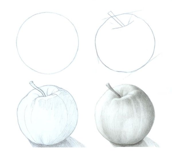 Как рисовать яблоко поэтапно