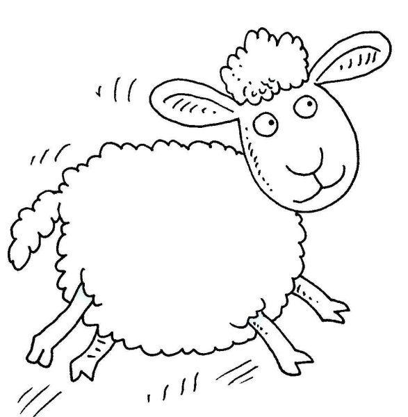 Овечка рисунок для детей карандашом