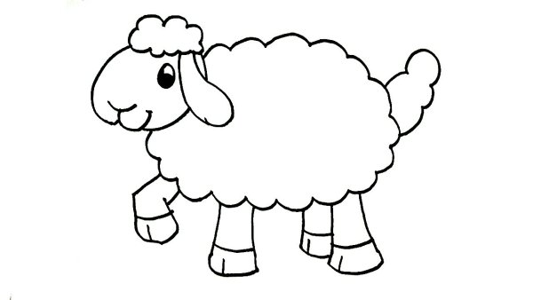 Овечка рисунок карандашом