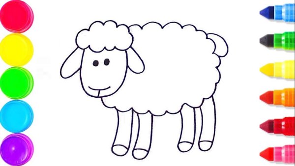Барашек карандашом для детей